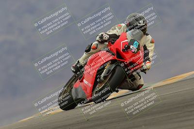 media/Jan-15-2023-SoCal Trackdays (Sun) [[c1237a034a]]/Turn 9 (2pm)/